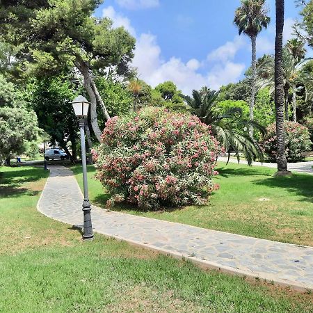 Sinforosa Park Apartments Torrevieja Buitenkant foto