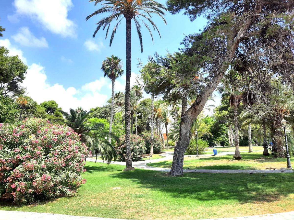 Sinforosa Park Apartments Torrevieja Buitenkant foto